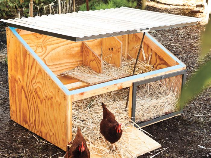 Coop chickens coops discoveries engineering