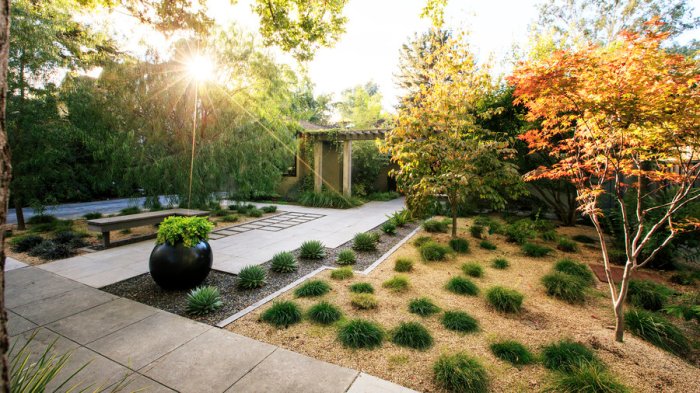 Front modern yard ideas landscape design tigertail designs