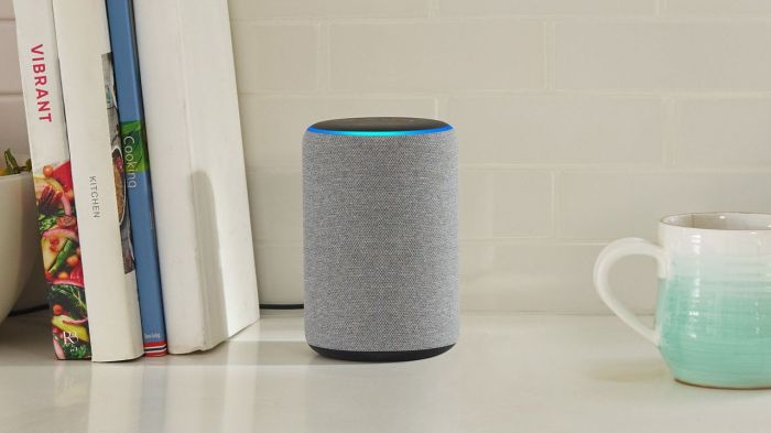 Wohnzimmer unterstützt das nicht alexa